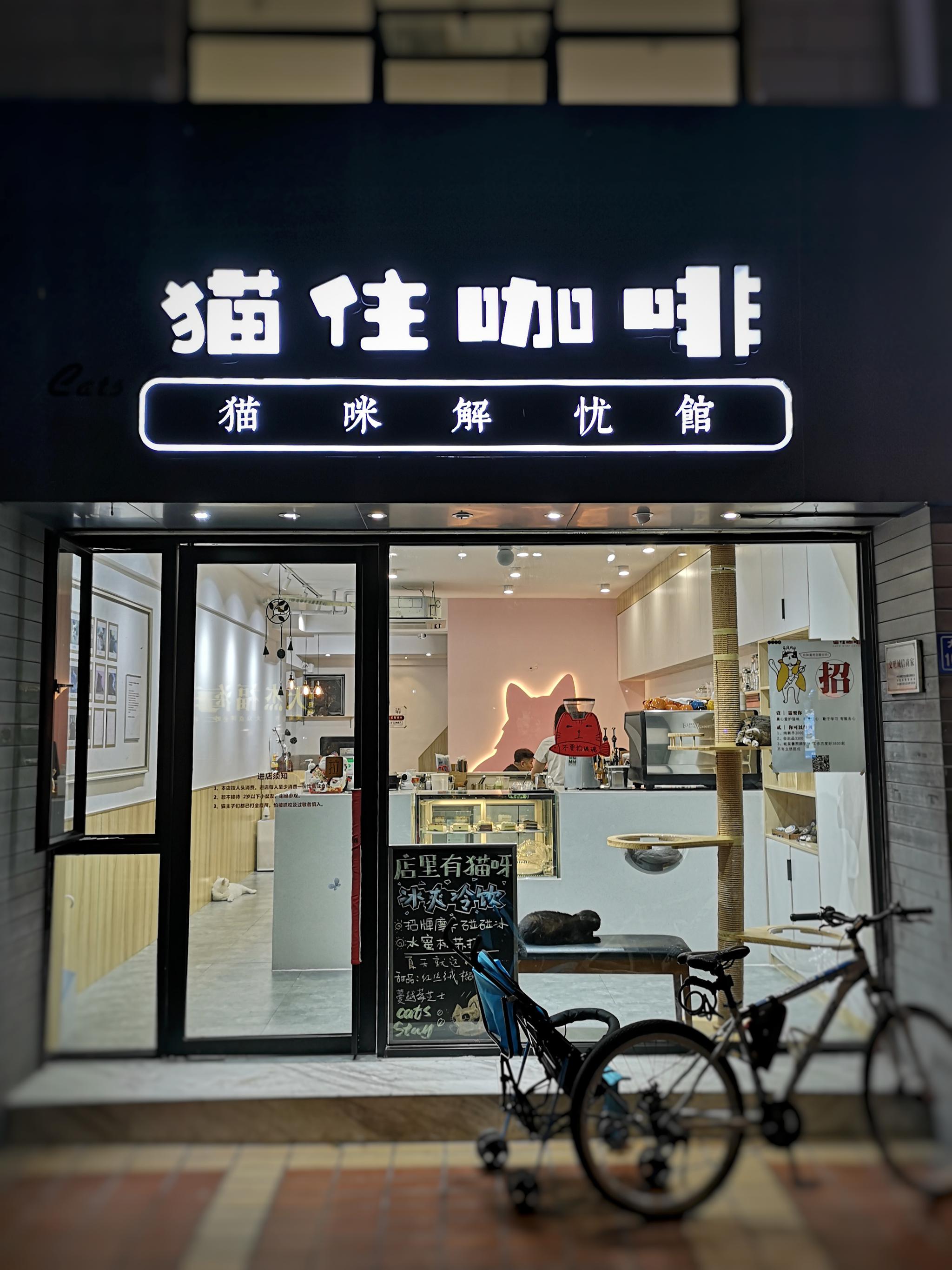 厦门沙坡尾的猫咖 你们城市有比较出名的猫咖吗|猫