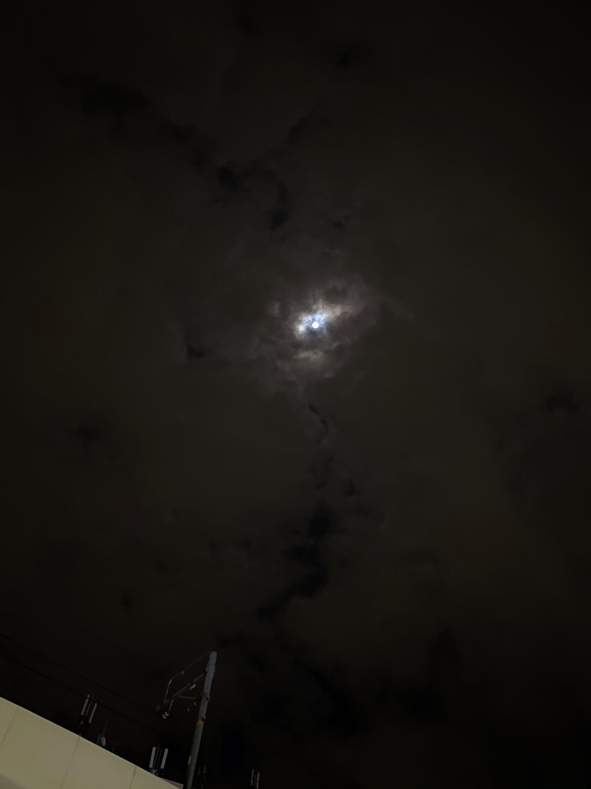 黑夜总是漫长,而人又是适合独行,高处的无法触及真实感触