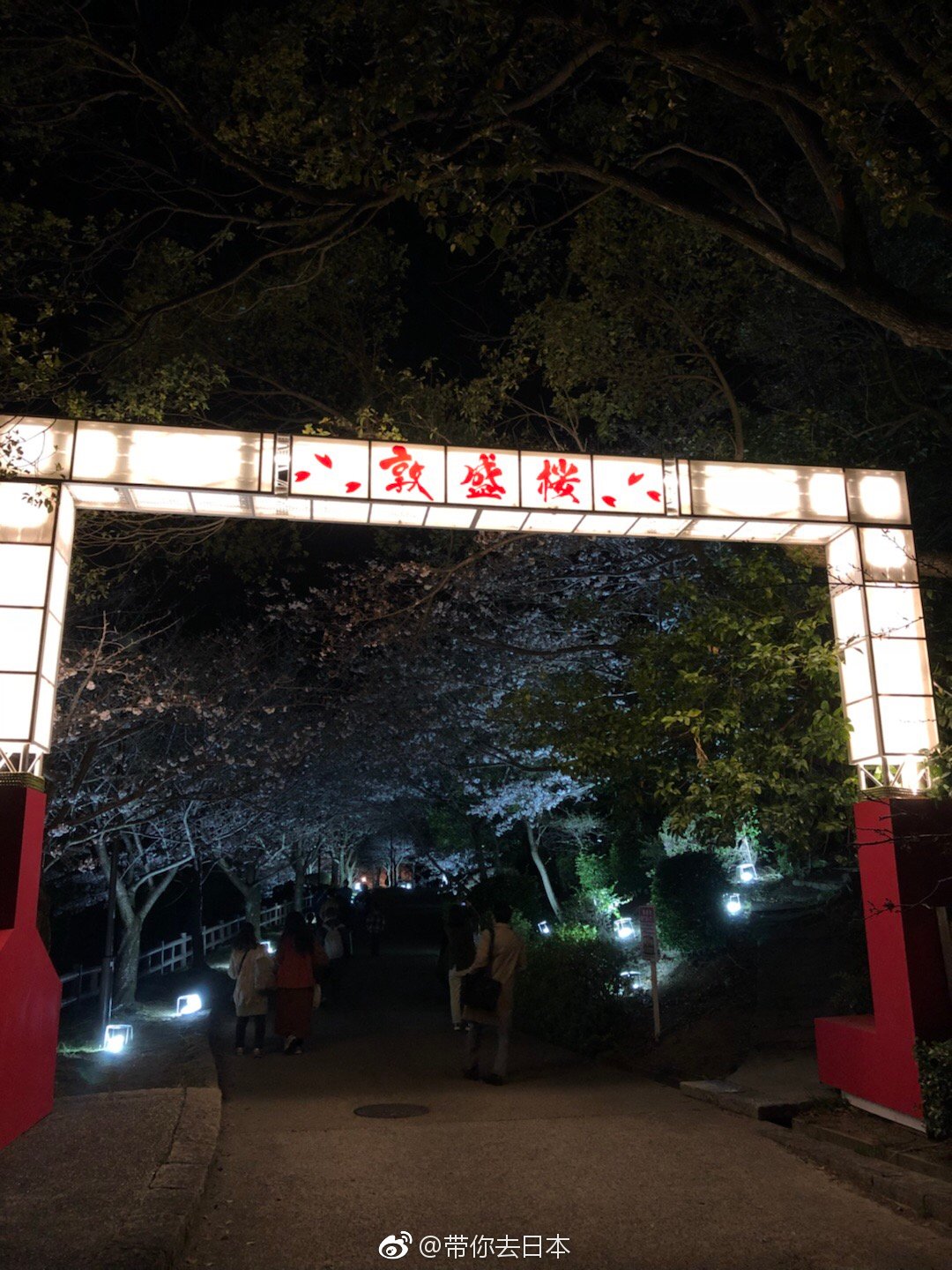 日与夜的须磨浦公园,有樱花祭り喔
