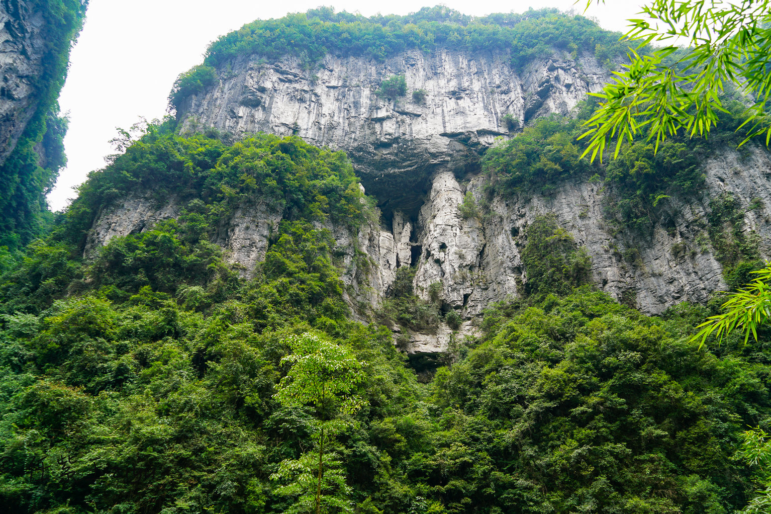 重庆武隆游,清新绿色的"重庆森林"