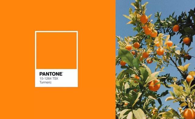 姜黄橘pantone 15-1264turmeric相似单品丑角红也可以很百搭,协调,无