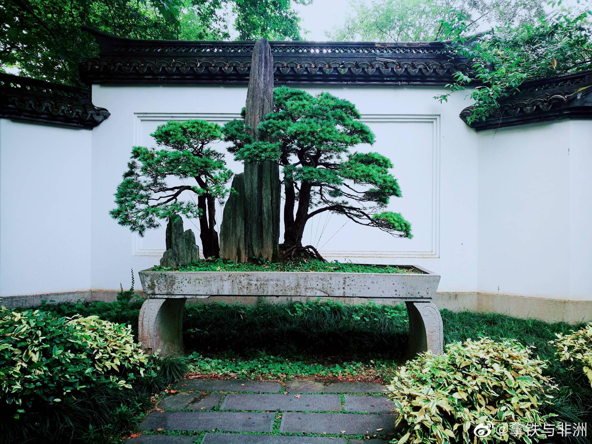 杭州竹素园江南古典园林之一值得一去的好地方