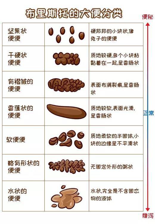 便便能反映宝宝健康?5种颜色6种形状,告诉你宝宝的健康情况