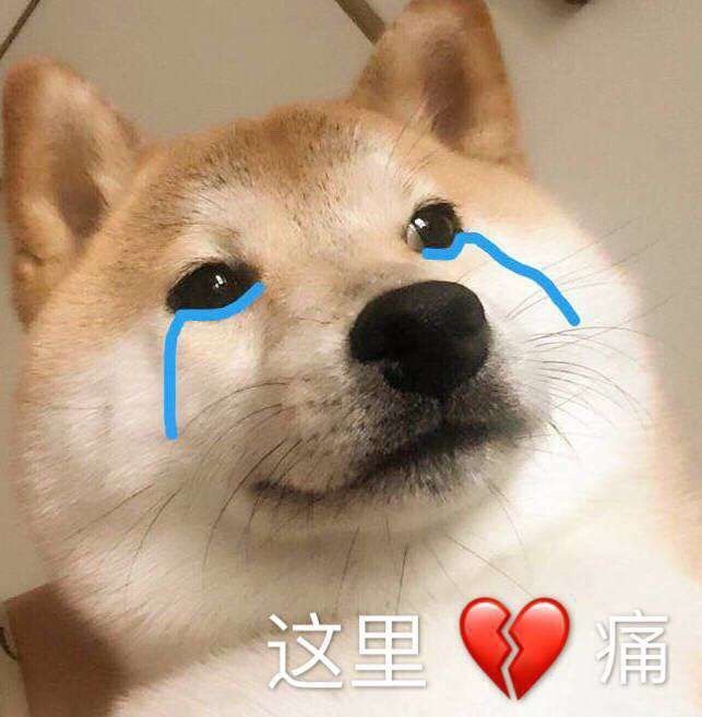 超实用的狗子表情包|狗子|表情包_新浪新闻