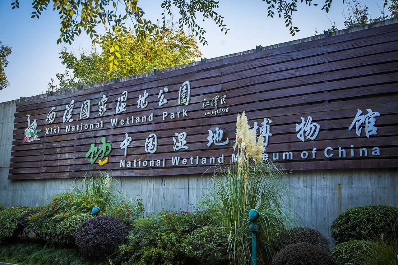 杭州西溪天堂,十年一梦,听芦节中沉睡在高档酒店里的江南梦境