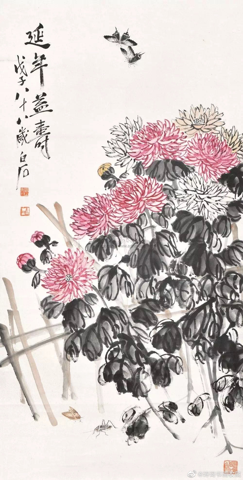 齐白石笔下的菊花