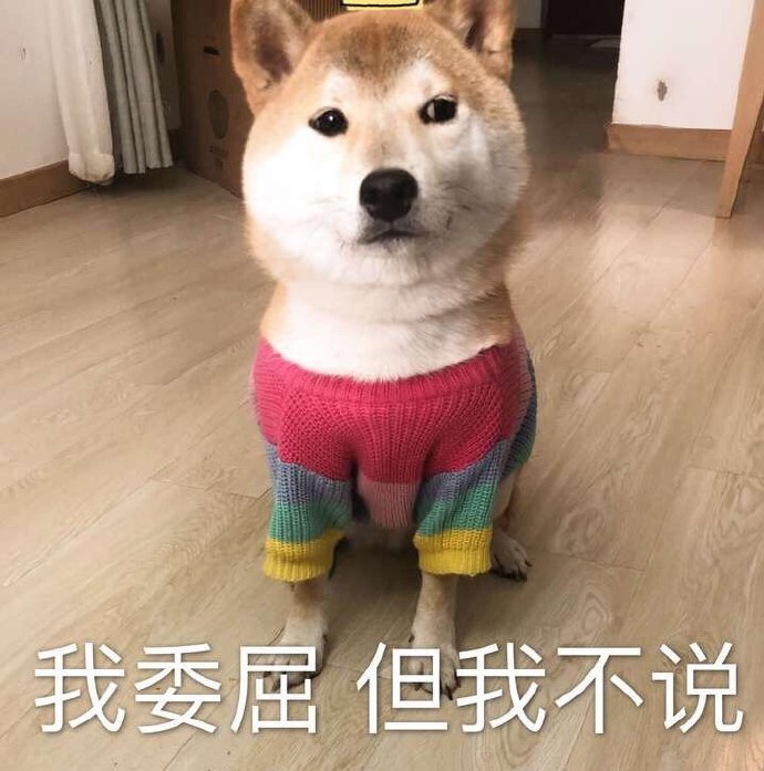 超实用的狗子表情包|狗子|表情包_新浪新闻