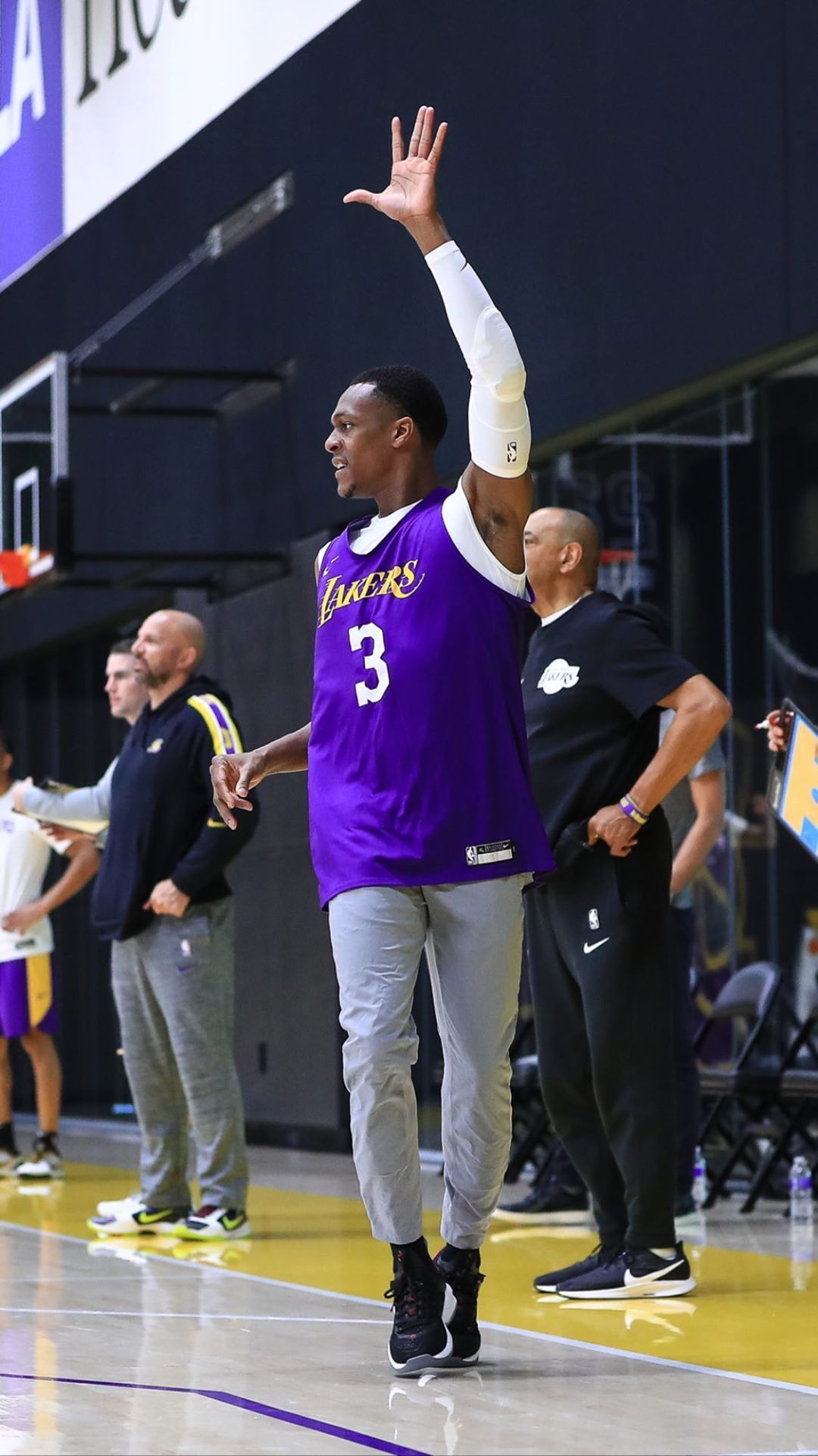 给各位看球晚的球迷介绍下湖人队3号安东尼戴维斯