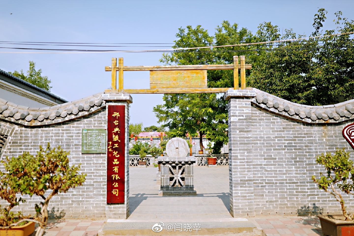 昨日杏花开微香风中来今日杏已熟红透巨鹿城