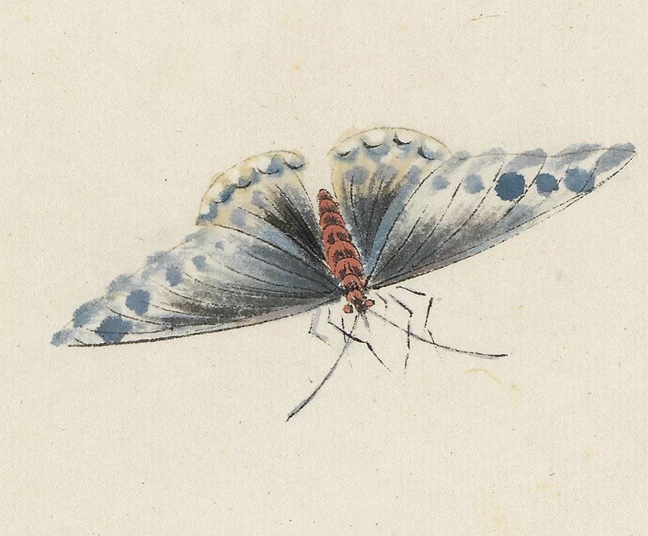 齐白石画笔下的昆虫世界.