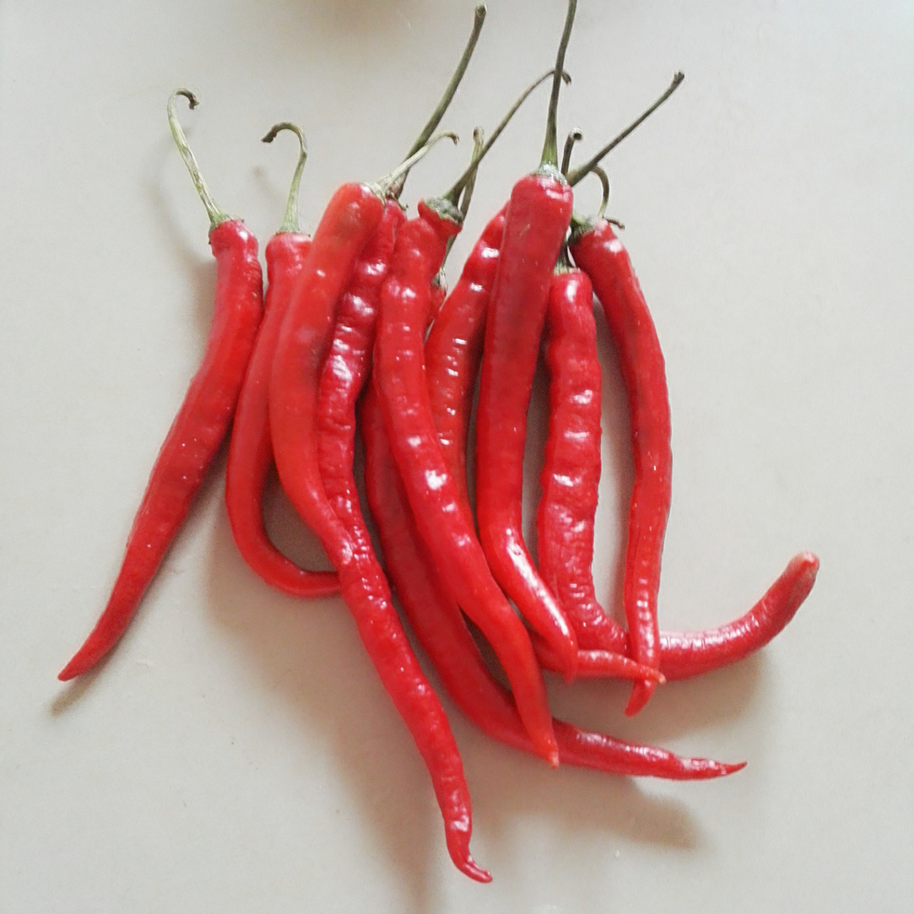 四季豆|步骤|口感_新浪新闻