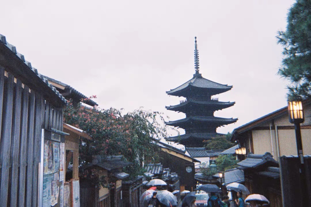 世界上最大的勇气,是压力下的优雅。——海明威