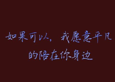 如果可以,我愿意平凡的陪在你身边
