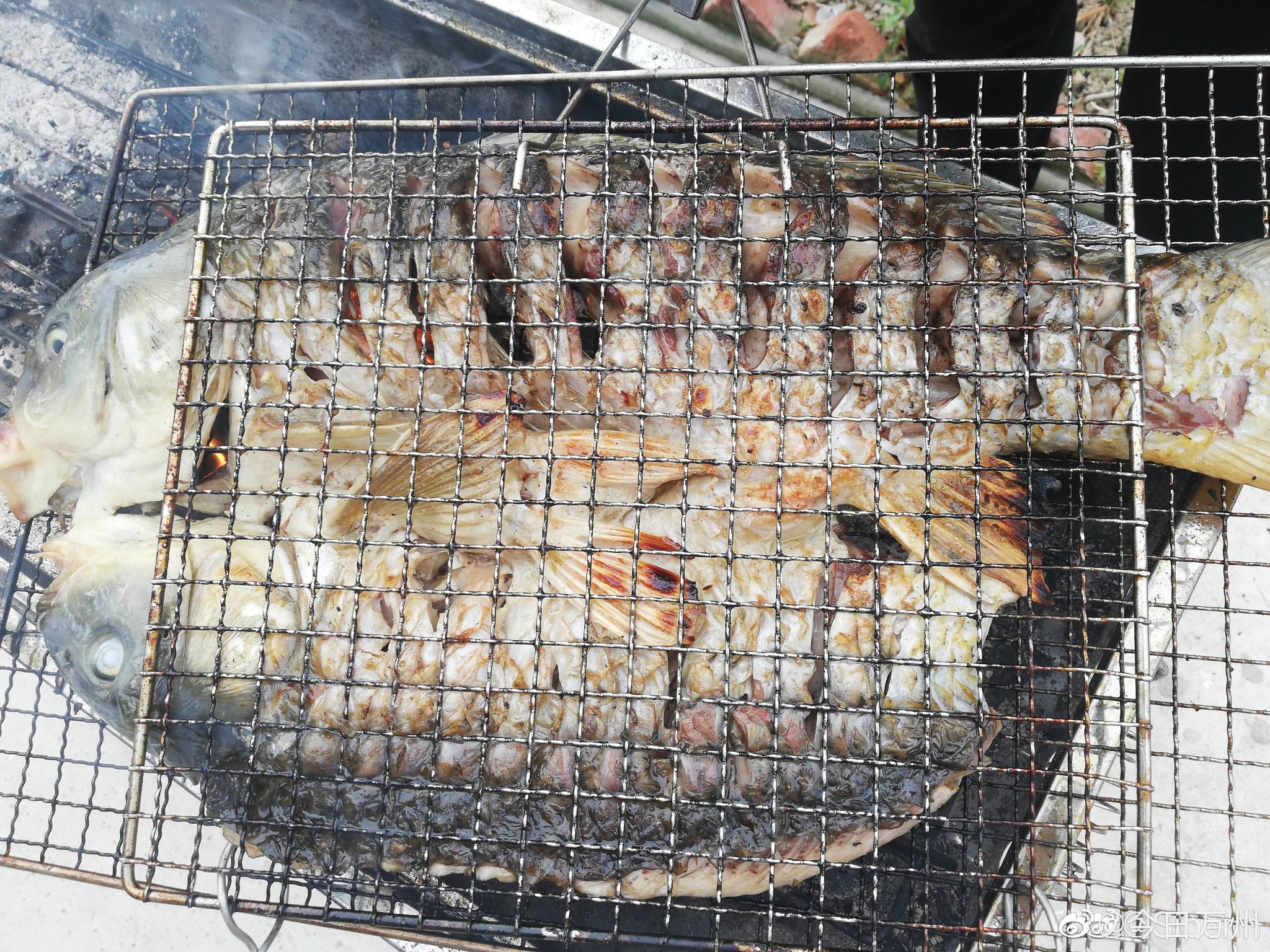 siberin :回家吃了传统烤制的万州烤鱼 五月了要加油哦