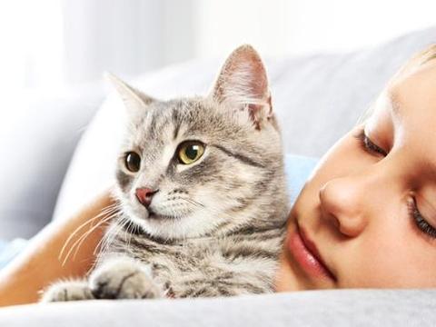 猫花粉症 儿童花粉过敏 花粉过敏症状 花粉过敏怎么办 如何治疗花粉过敏 亲子百科 太平洋亲子网 猫花粉症 儿童花粉过敏 花粉过敏症状 花粉过敏怎么办 如何治疗花粉过敏 亲子百科 太平洋亲子网