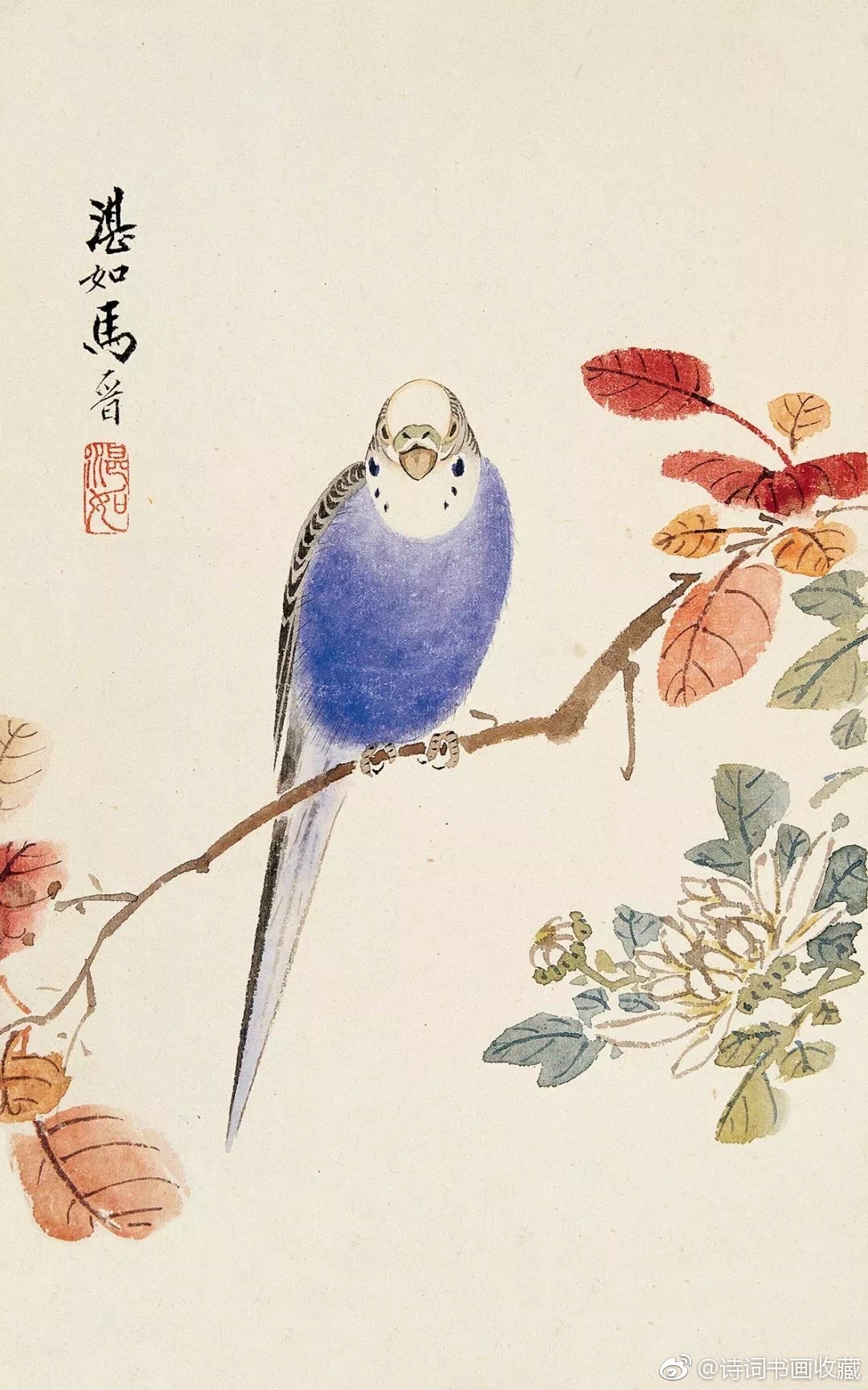 马晋小写意作品有笔有墨,写中带工