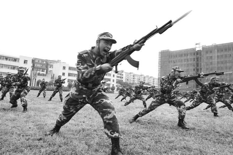 可以辅助作战,用途趋向多元化