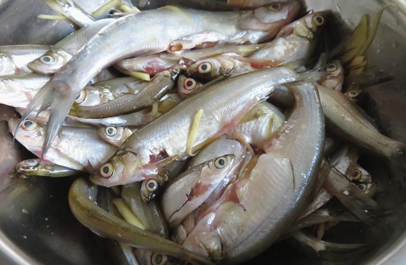 这鱼别看个头小,营养却不少,农村人常见,城里人却不认识!