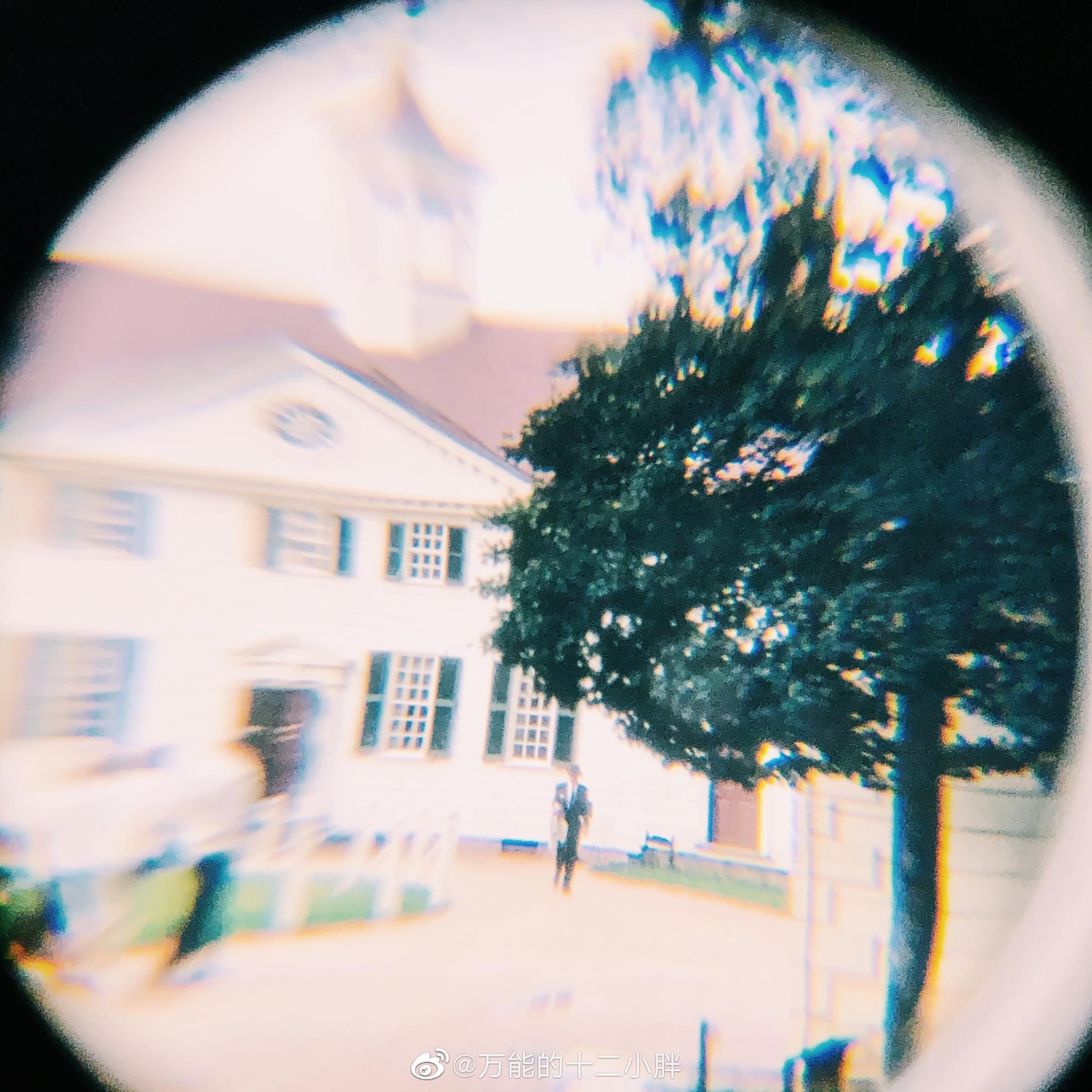 一组收藏级的反转片在灯光下的细节格外有意思