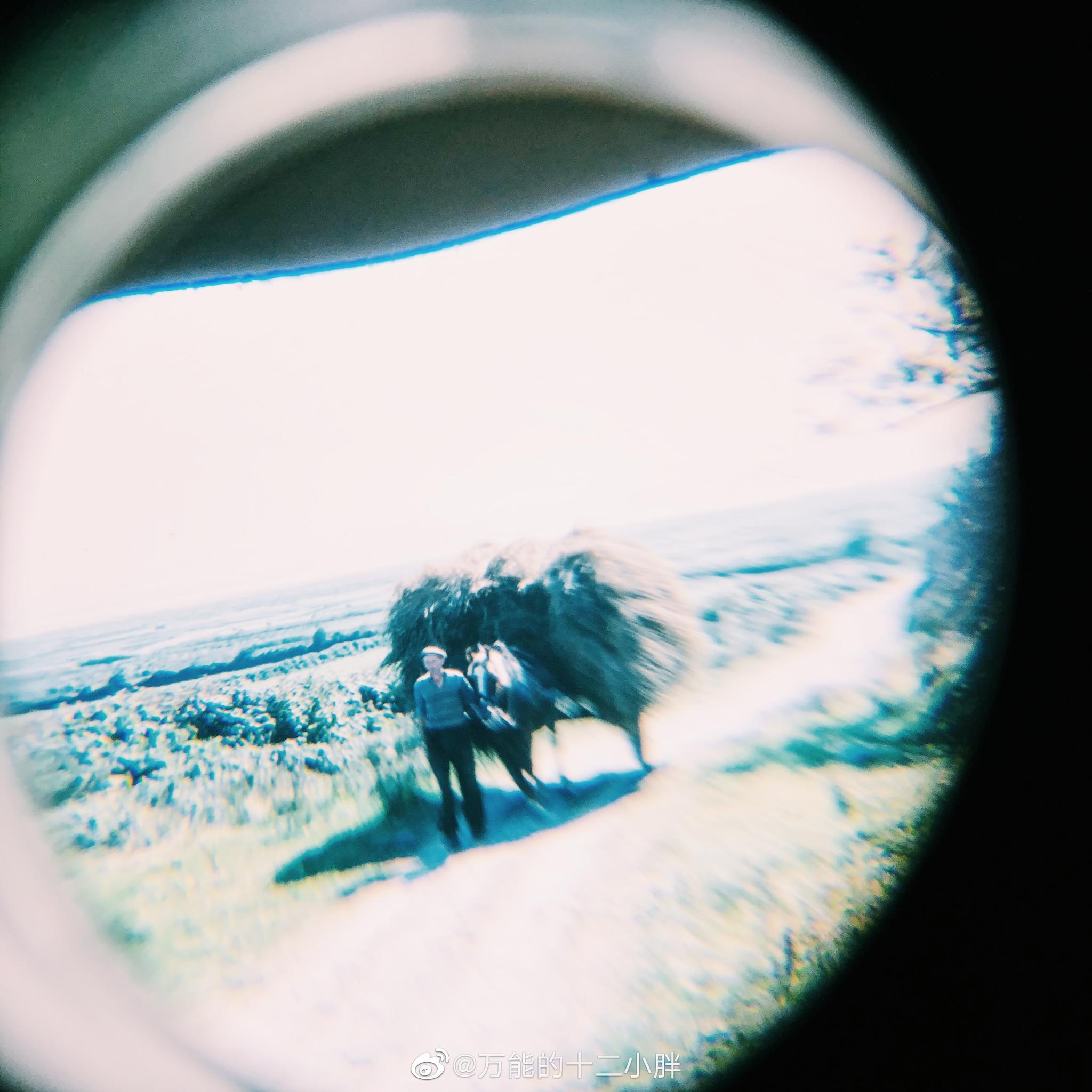 一组收藏级的反转片在灯光下的细节格外有意思