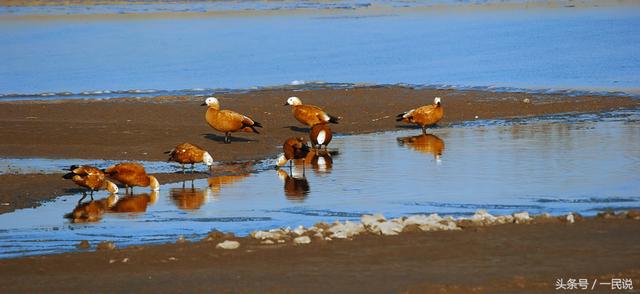 海兴seo优化多少钱