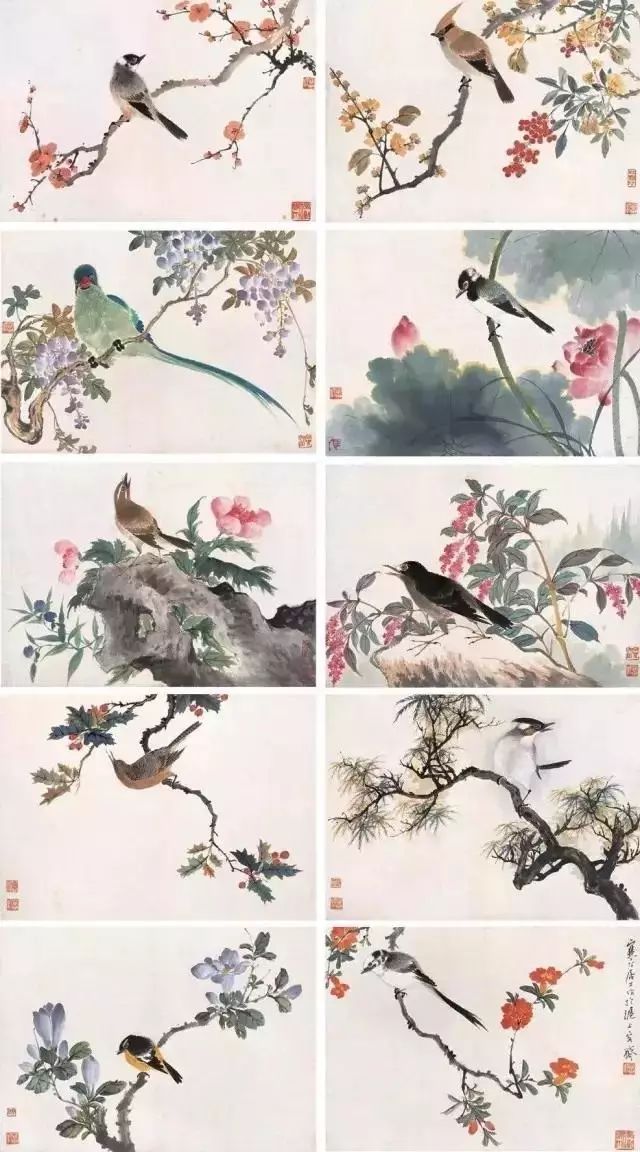 江寒汀 百看不厌,他只为花鸟画而生!|江寒汀|花鸟画|鸟_新浪新闻