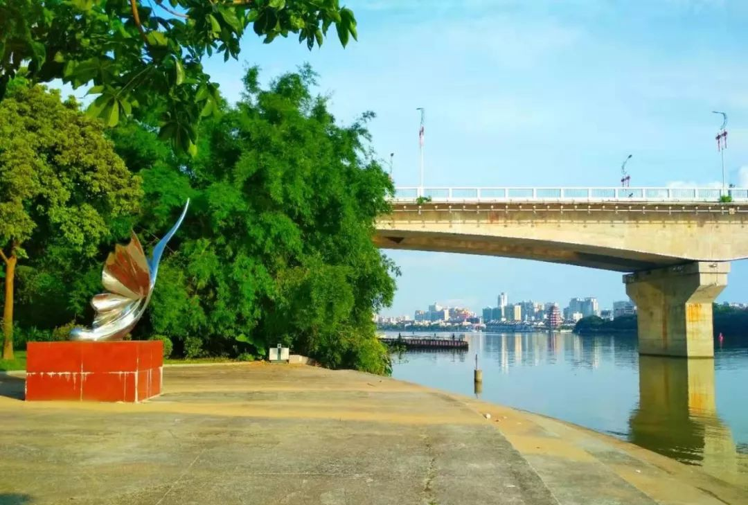 在东江公园,见阳光下的惠州大桥
