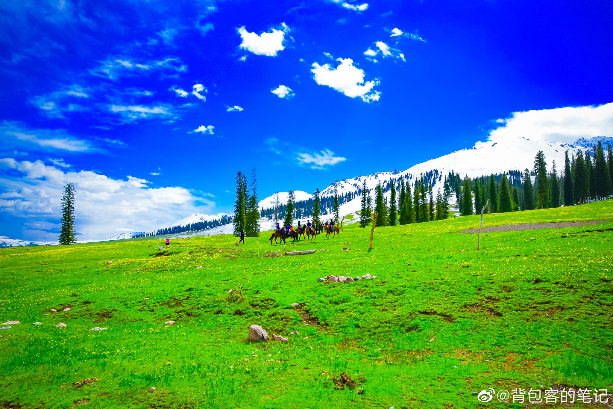 最美四月天春舞那拉提海拔两千多米的空中草原风光旖旎