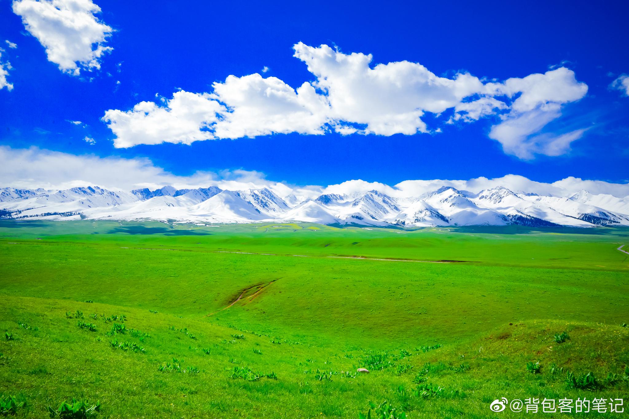 最美四月天春舞那拉提海拔两千多米的空中草原风光旖旎