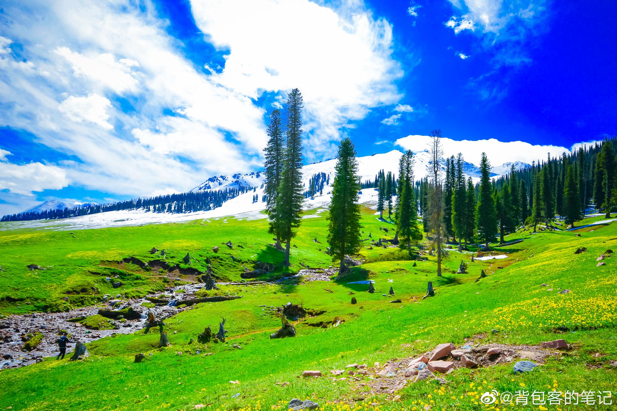 最美四月天春舞那拉提海拔两千多米的空中草原风光旖旎