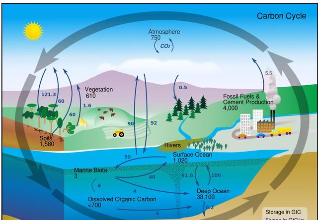 地球有碳循环,为什么说石油煤炭不可再生?