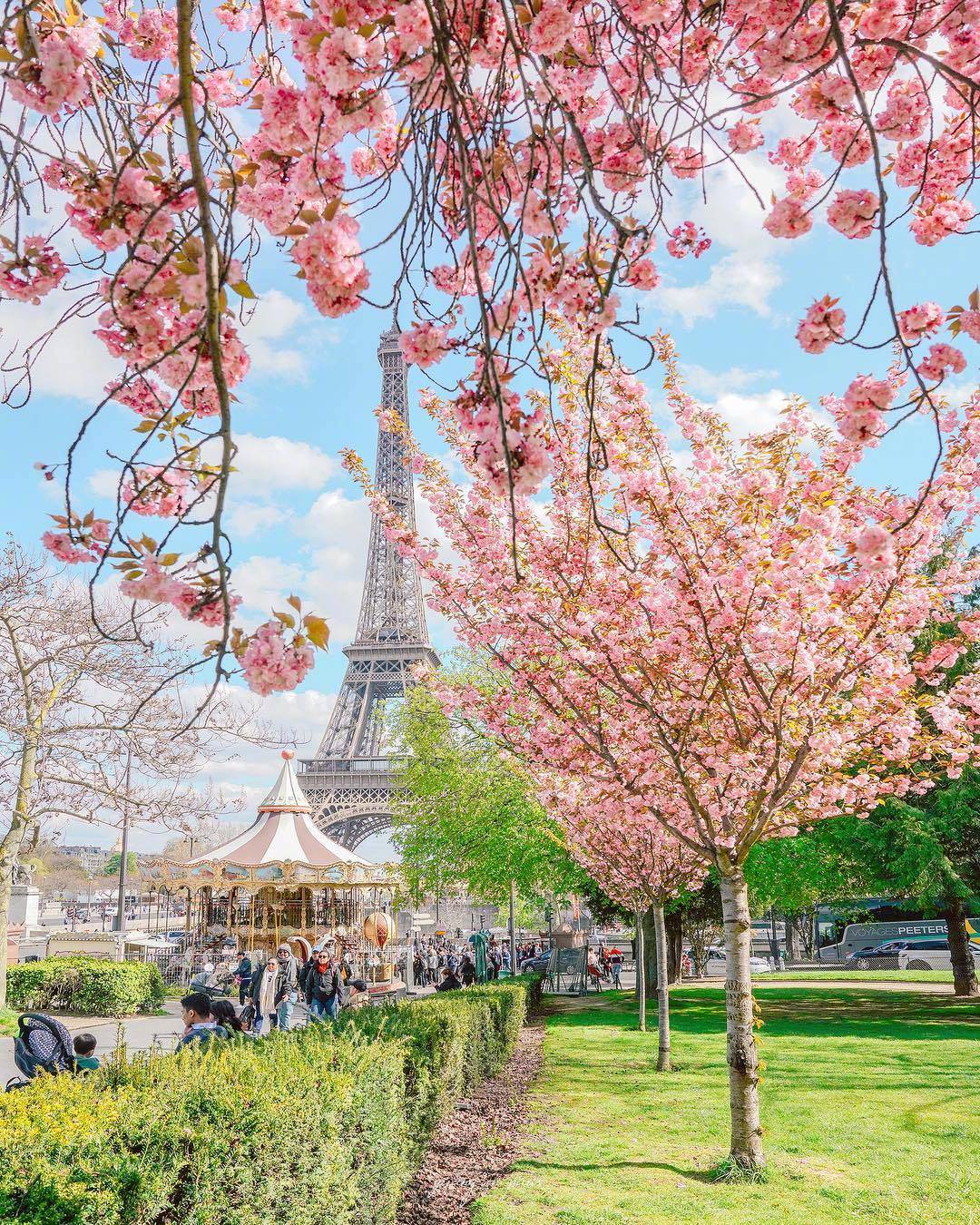 浪漫巴黎的粉色春天insyiranginparis