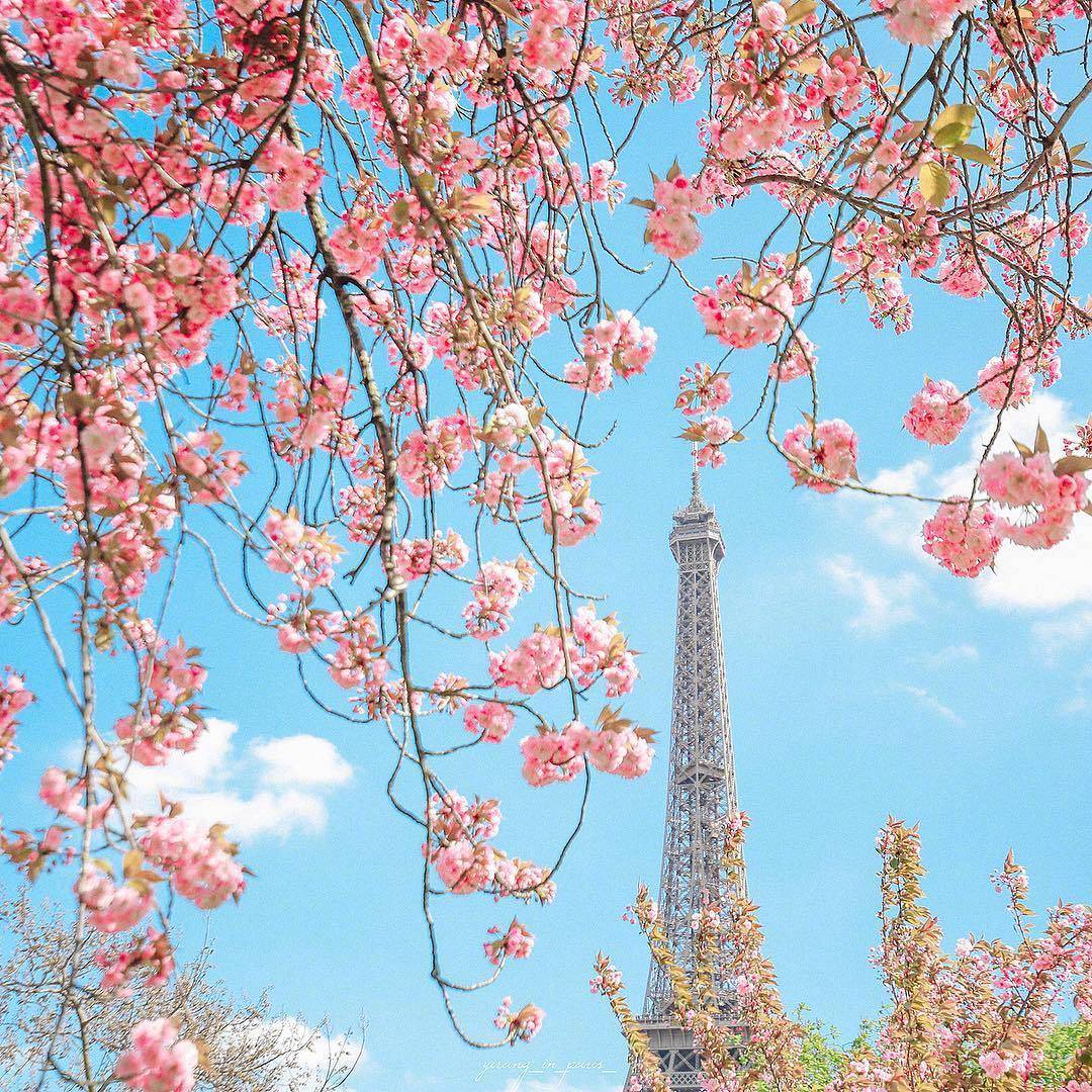 固原哪个小区有粉灯？电子烟充电粉色灯代表什么以及粉灯剧本杀解析