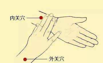 内关穴：增强心脏无氧代谢，调整心律、脑、胃肠病