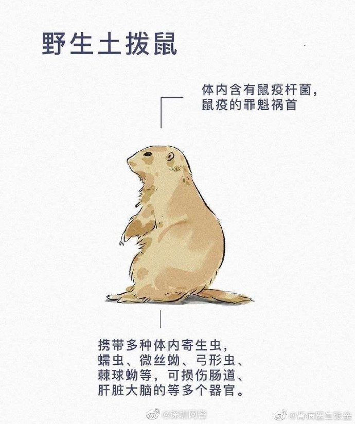 拒绝野味从我做起