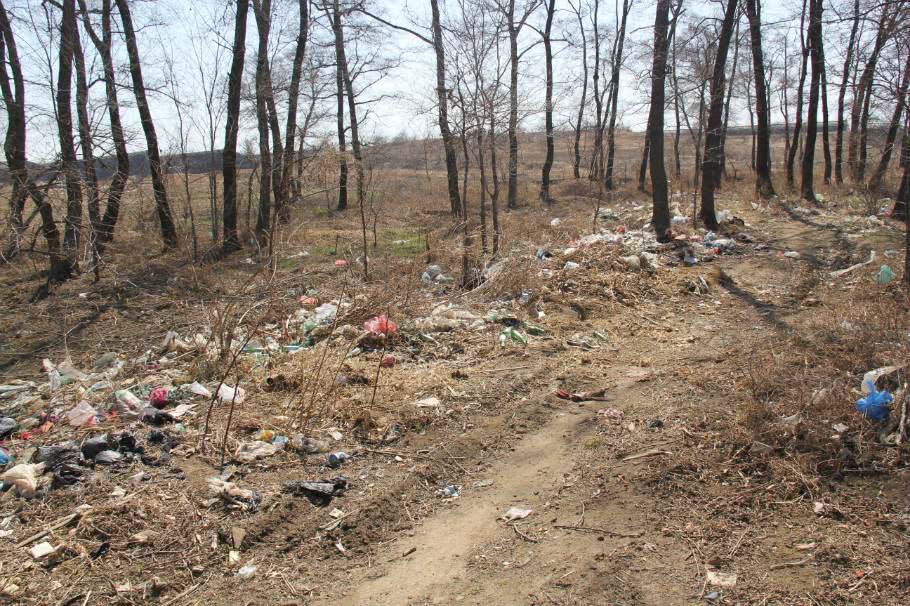 15年前农村2毛一个收购,如今一毛也无人问津,成了污染垃圾