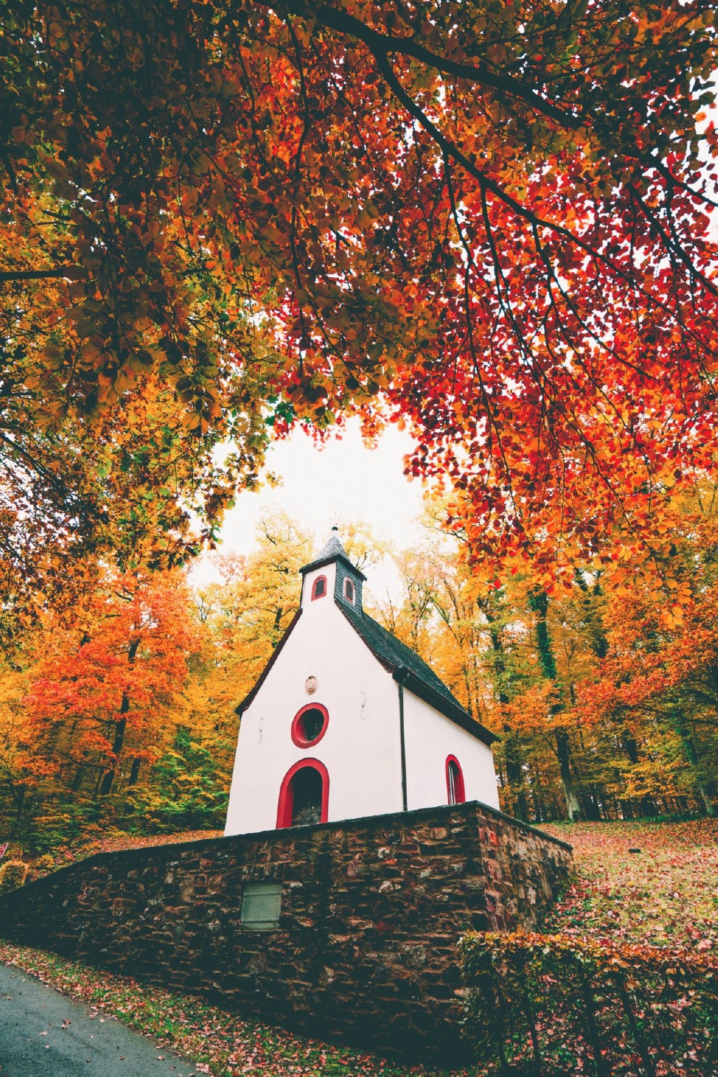 "人类的一切智慧就包含在这四个字里面:等待和希望|大仲马|基督山