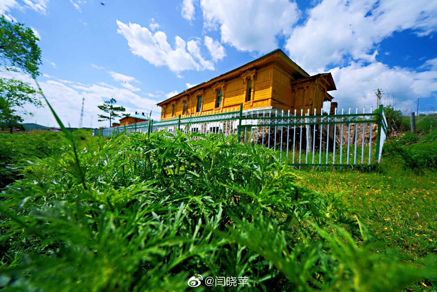 驱车前行98km,用一个半小时穿越美丽的草原,走进了伊列克得村,见到