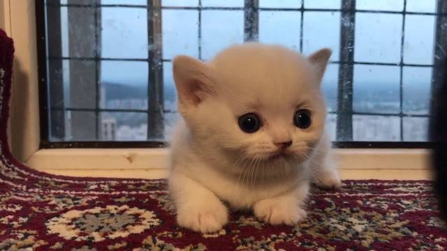 看你给人家气的!