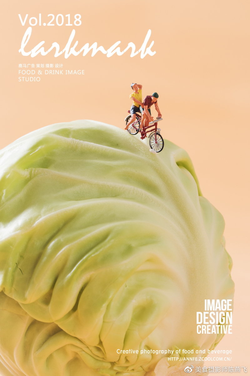 《饭来》2018"伯奇杯"中国创意摄影展 | 广告摄影方向获奖陈燕飞作