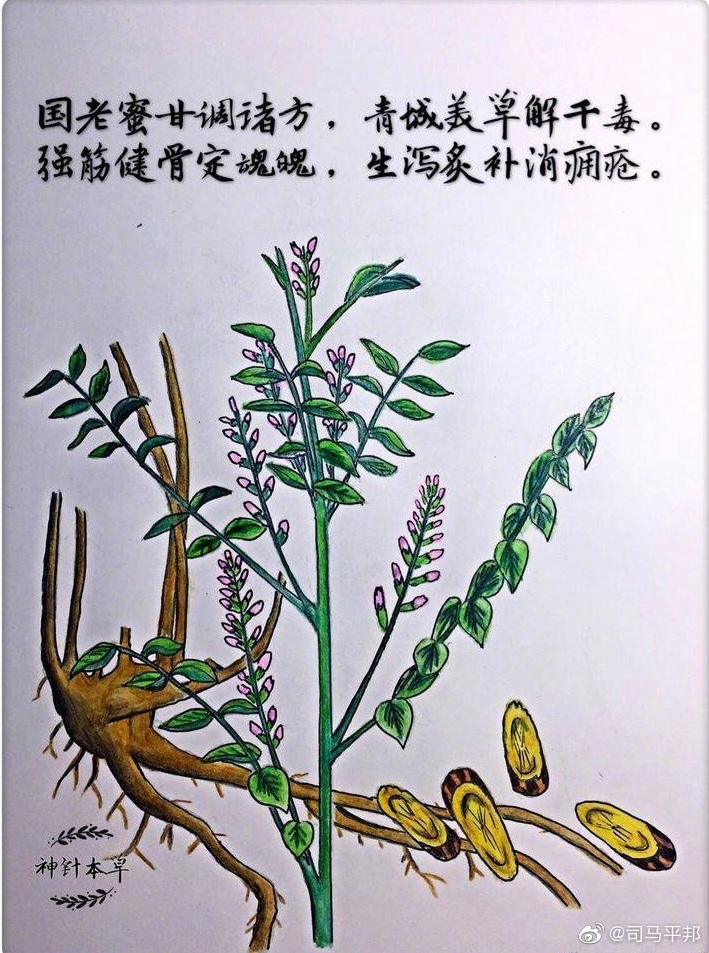 她有多么的热爱生活