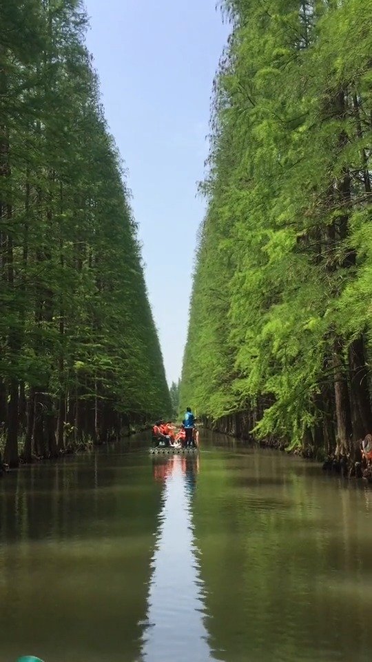 金湖水上森林,一线天.