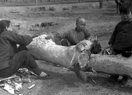 抗日战士都在啃树皮,他们队伍却天天吃牛肉,还有甜点