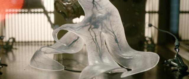 科幻灾难电影《异星觉醒》告诉你人类这样接触外星生物是否值得