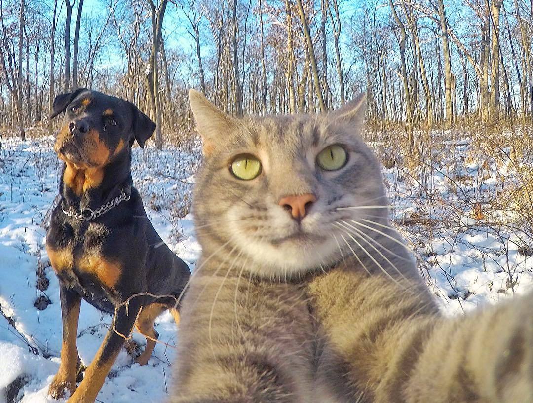 自拍达人又来辣!:yoremahm