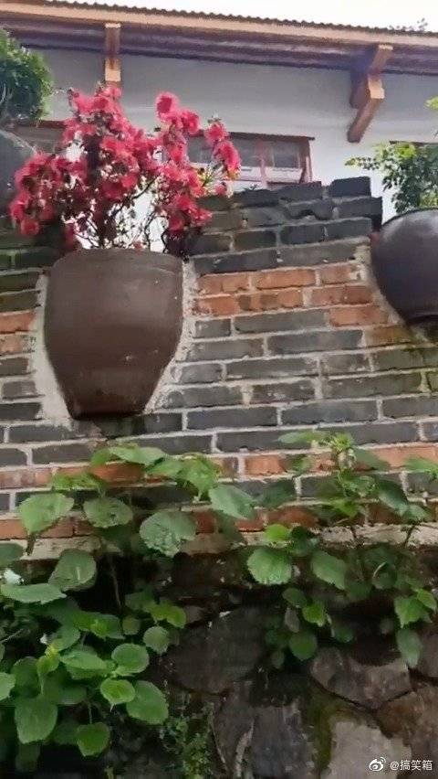 偶然发现一家特别有意思的农家小院的围墙!
