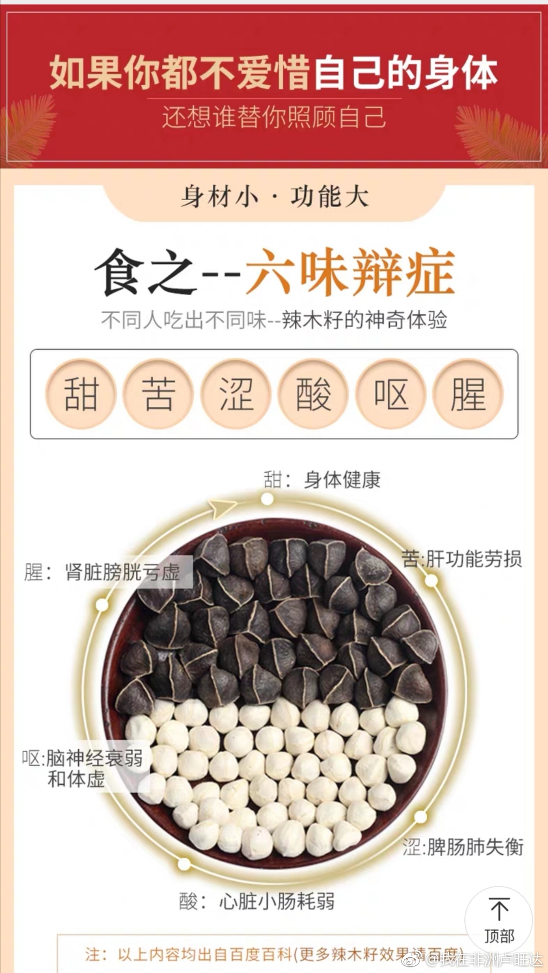 神奇辣木籽,六味辩证,提高免疫力,天然降三高,护肝解酒,减肥缓解便秘.