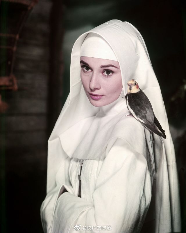 奥黛丽赫本拍摄《修女传》时拍摄的照片.