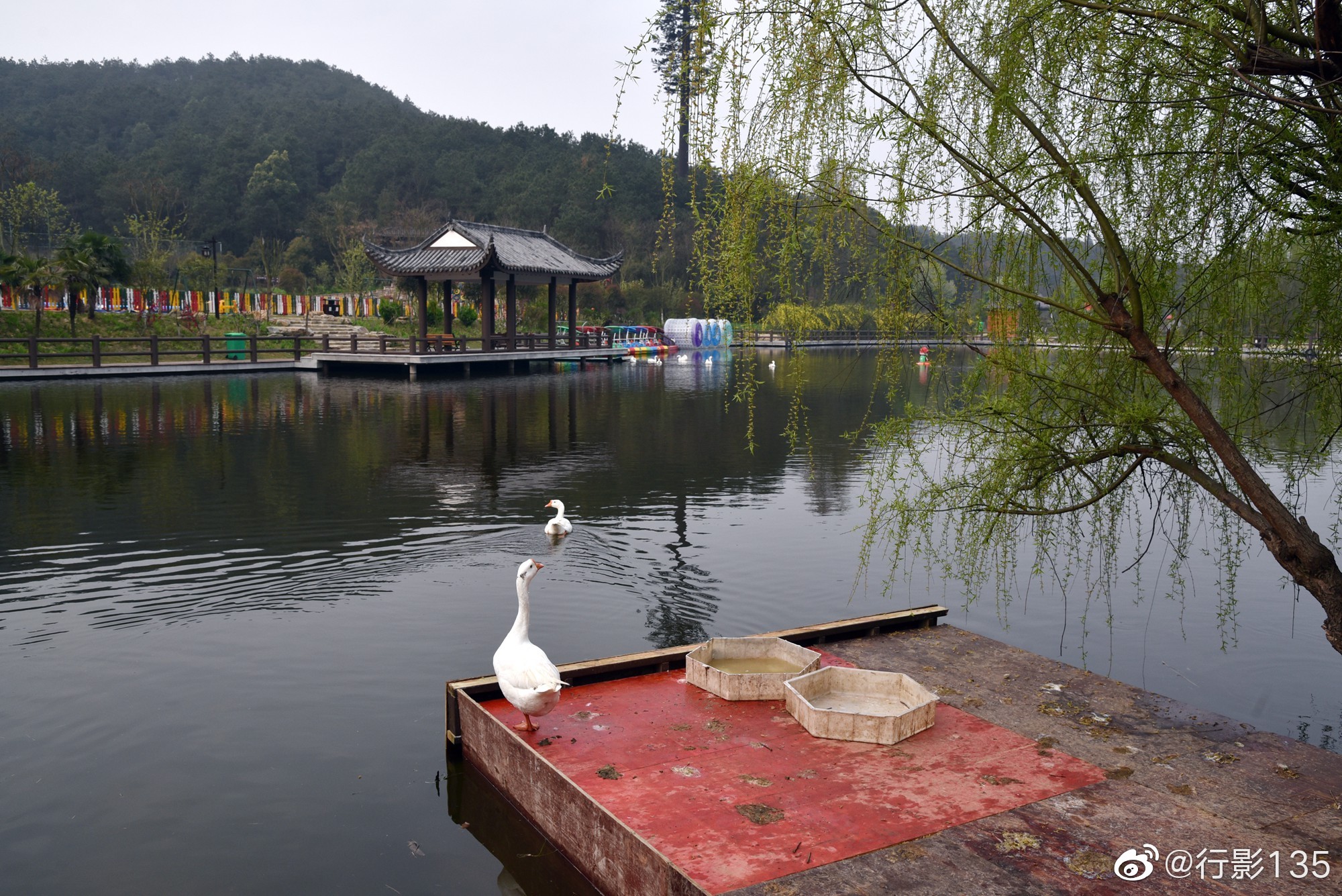 武汉黄陂野村谷银杏山庄是一处环境优美的度假酒店