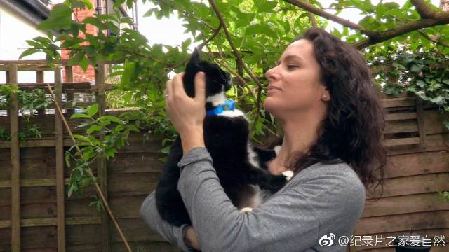 为什么俄罗斯人不怕熊他们到底用了什么办法降